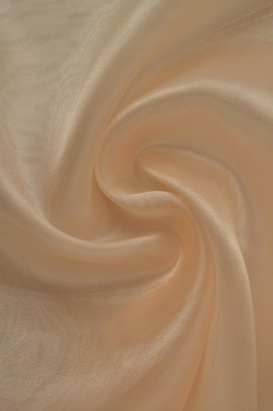 Champagnefärgad organza – transparent & glänsande (bild 1 av 7)