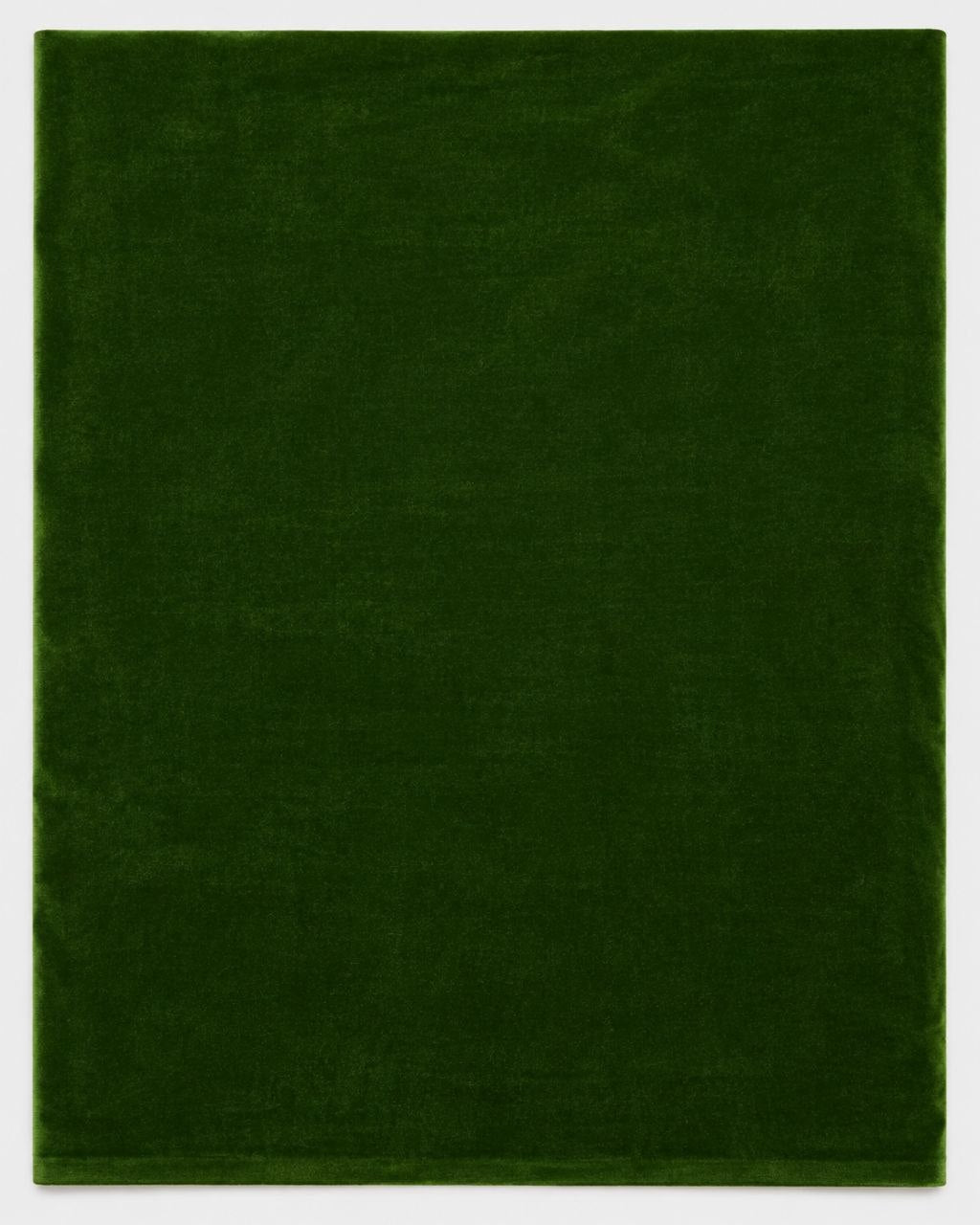 GRÖNT MICRO VELOUR TYG (bild 1 av 3)