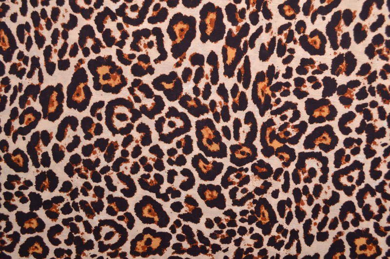 Beige linne med leopardtryck (bild 3 av 9)