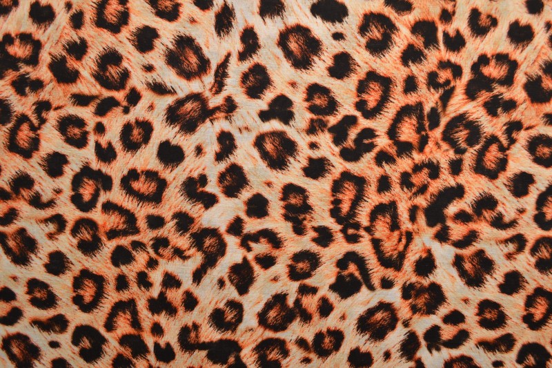 Orange linne med leopardtryck (bild 3 av 9)