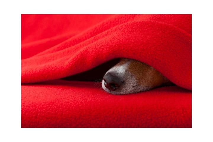Ljus lila polar fleece – anti-pilling, varm & lätt (bild 7 av 7)